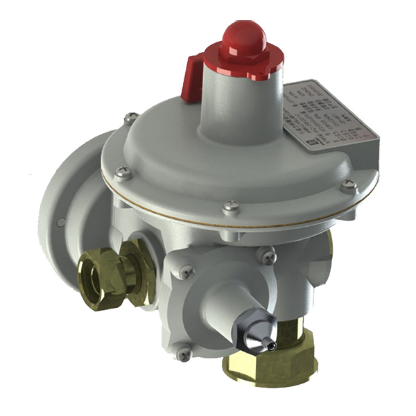 Fixed Competitive Price Air Treatment System - ER50/70 SERIES PRESSURE REGULATORS – Ainuo Technology