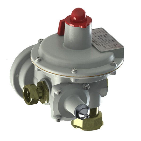 Manufacturer for Gas Regulator With Double Hoses - ER100 SERIES PRESSURE REGULATORS – Ainuo Technology